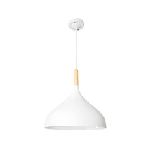 Подвесной светильник Arte Lamp KAYLA  1