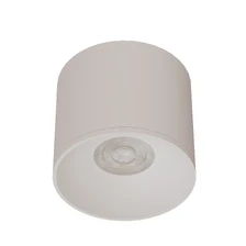 Точечный накладной светильник Arte Lamp PELL  1